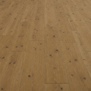 Gallery 8